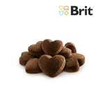 Brit Care Adult Superfruits Chicken Cat Snack