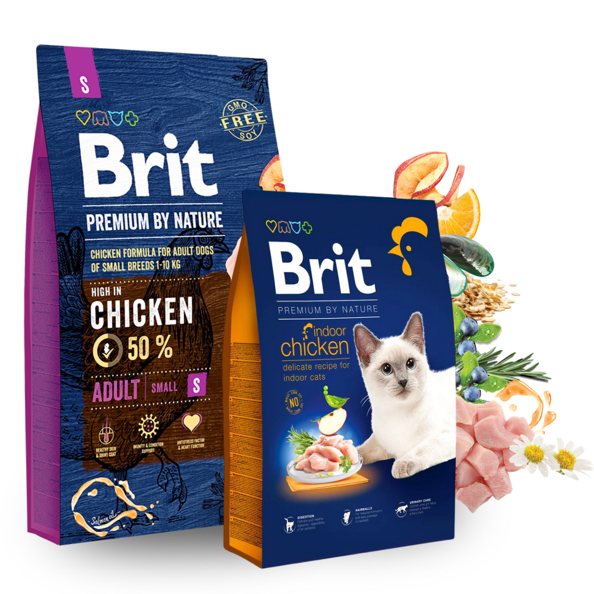 Brit South Africa – Brit Premium - South Africa