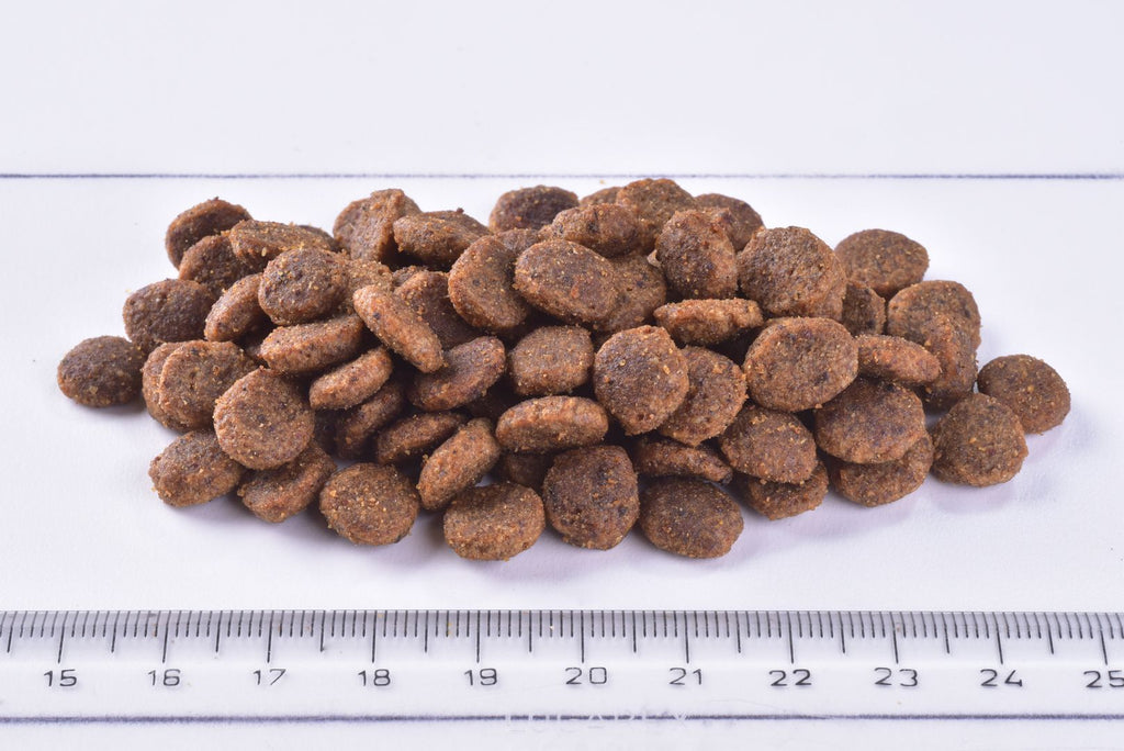 Brit Premium Adult Indoor Cat Dry Food Chicken kibbles wih ruler for scale

