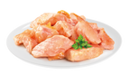 Brit Premium Adult Salmon Fillets in Jelly Wet Cat Food  on a white plate with a sprig of parsley.