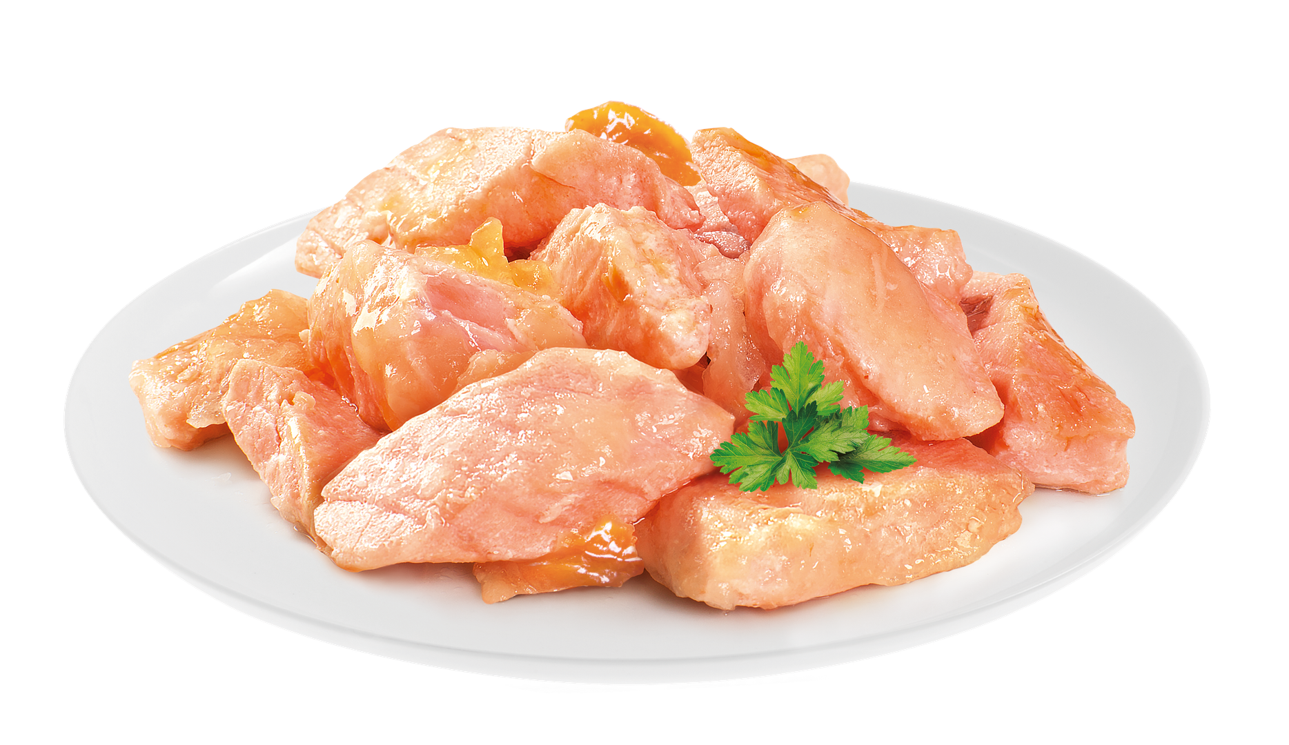 Brit Premium Adult Salmon Fillets in Jelly Wet Cat Food  on a white plate with a sprig of parsley.