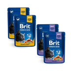 Brit Premium Cat Pouch Fish Plate packets on a white background