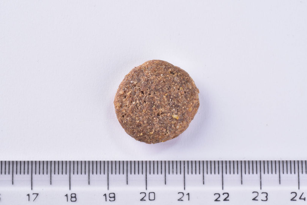 Brit Premium Dog Dry Food Adult Large single Kibble object next to a ruler on a white background