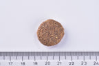 Brit Premium Dog Dry Food Adult Large single Kibble object next to a ruler on a white background