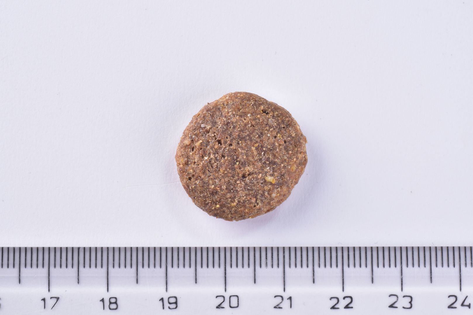 Brit Premium Dog Dry Food Adult Large single Kibble object next to a ruler on a white background