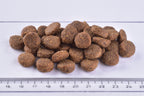 Brit Premium Dog Dry Food Adult Medium  Kibble on a white surface with a ruler for scale.