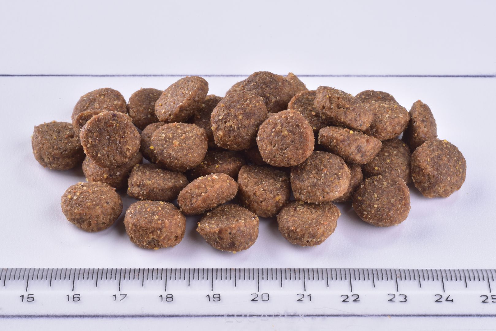 Brit Premium Dog Dry Food Adult Medium  Kibble on a white surface with a ruler for scale.