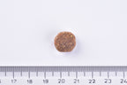 Brit Premium Dog Dry Food Adult Medium Single Kibble on a white background with a ruler for scale.