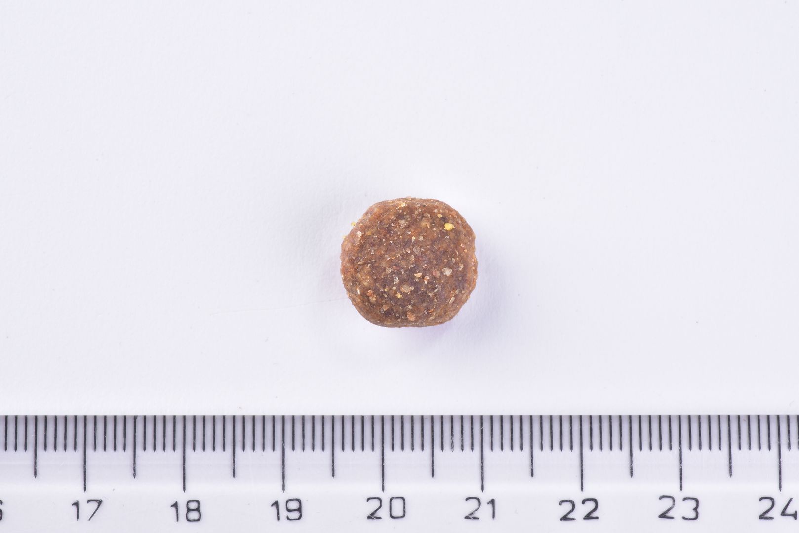 Brit Premium Dog Dry Food Adult Medium Single Kibble on a white background with a ruler for scale.