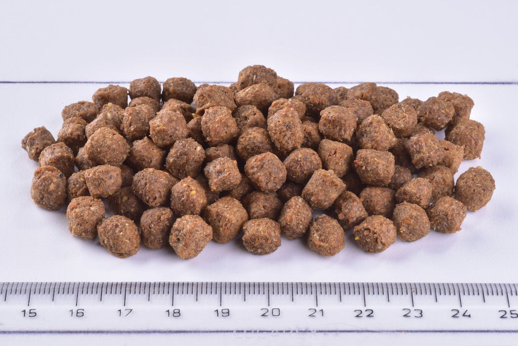 Brit Premium Dog Dry Food Adult Small Kibble on a white surface with a ruler for scale.