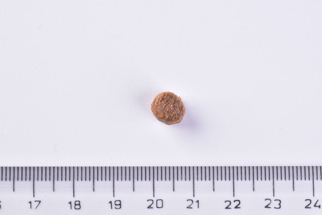 Brit Premium Dog Dry Food Adult Small Kibble  Single next to a ruler on a white background