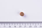 Brit Premium Dog Dry Food Adult Small Kibble  Single next to a ruler on a white background