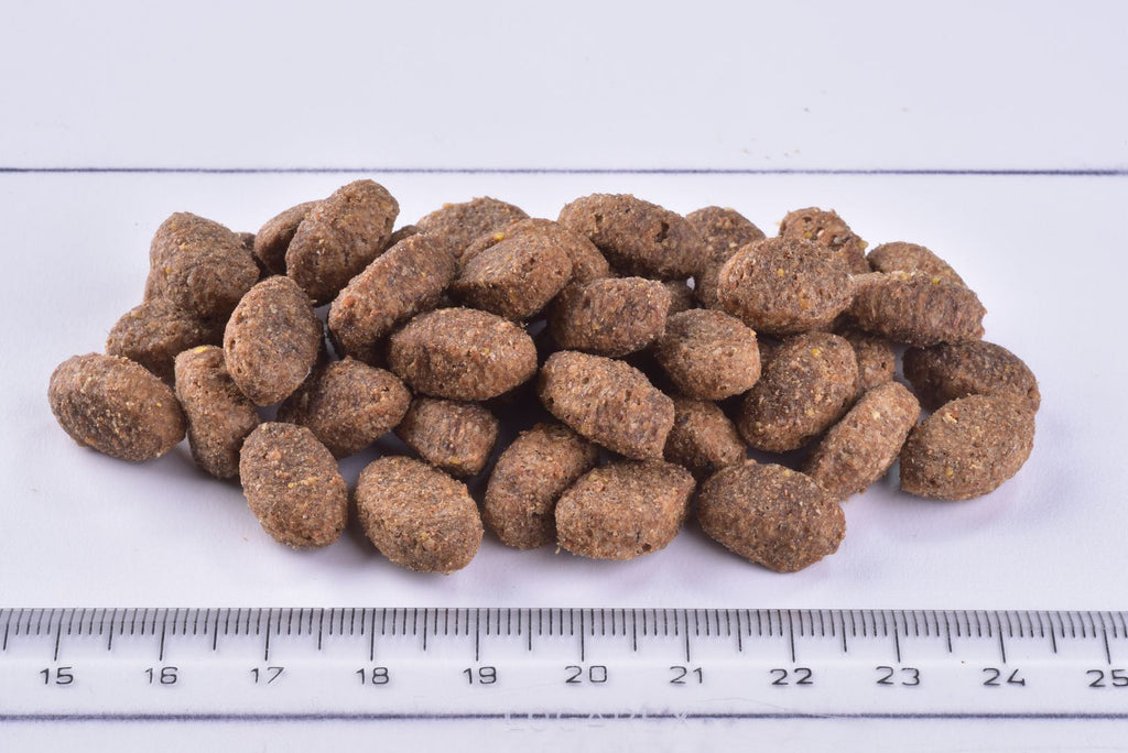 Dog food pelletsBrit Premium Dog Dry Food Light Turkey and Oat Kibble next to a ruler for scale.