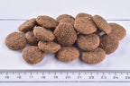 Brit Premium Dog Dry Food Senior Large & XLarge Kibble on a white background with a ruler for scale.