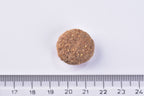 Brit Premium Dog Dry Food Senior Large & XLarge single Kibble on a white background with a ruler for scale.