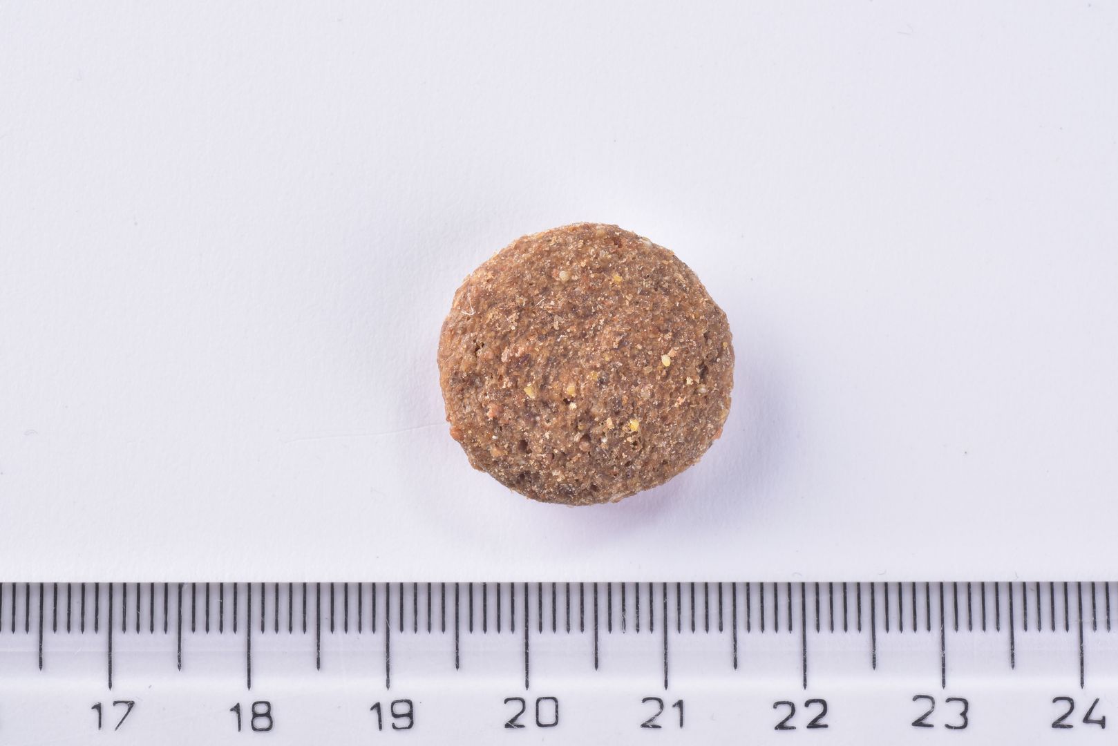 Brit Premium Dog Dry Food Senior Large & XLarge single Kibble on a white background with a ruler for scale.
