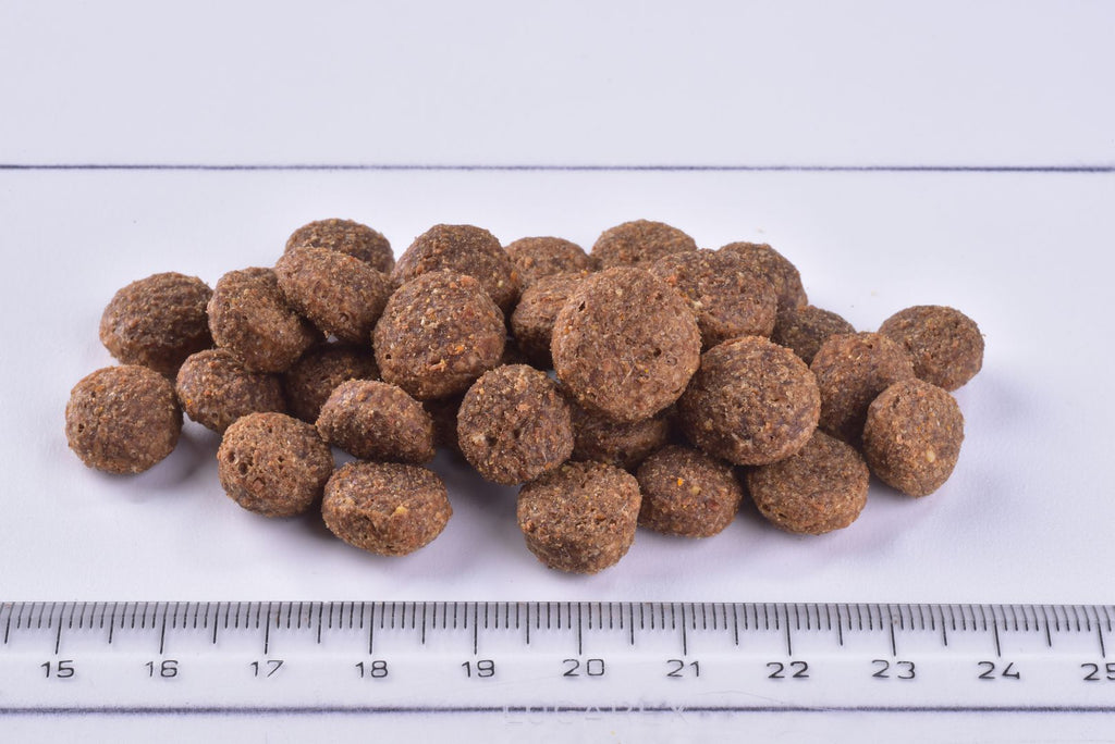 Brit Premium Dog Dry Food Senior Small & Medium kibble on a white surface with a ruler for scale.