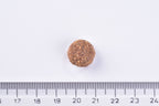 Brit Premium Dog Dry Food Senior Small & Medium Single Kibble next to a ruler on a white background