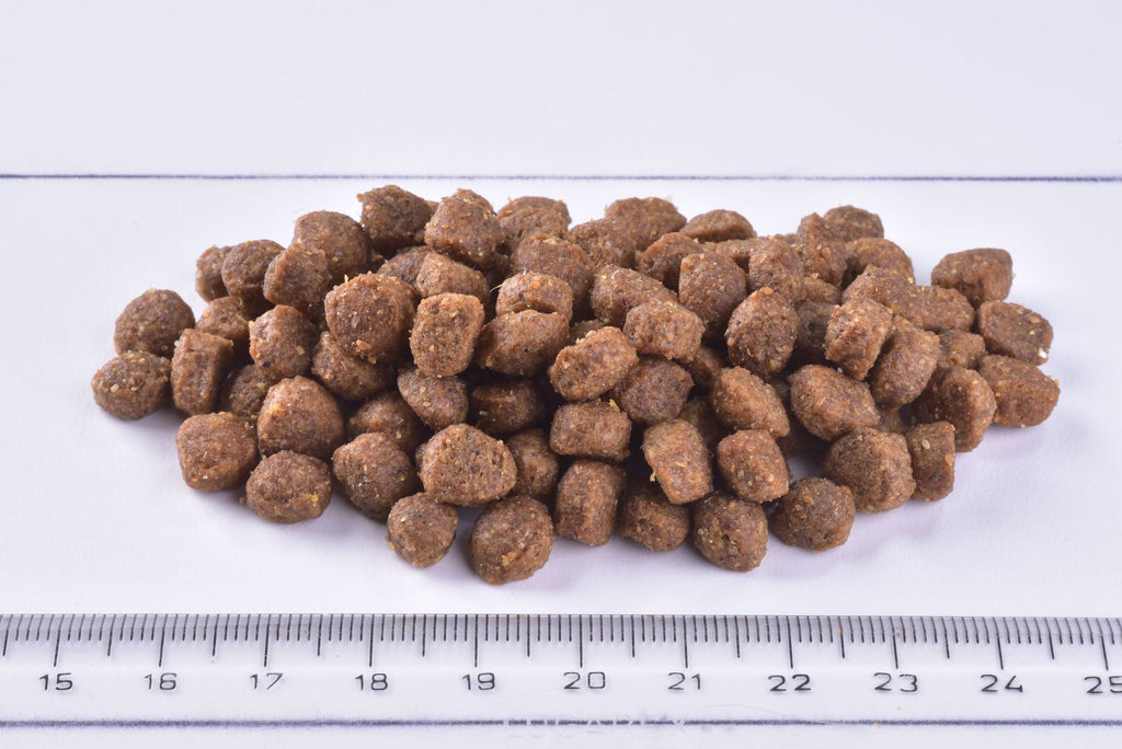 Brit Premium Dog Junior Small Dry Food Kibble on a white surface with a ruler for scale.
