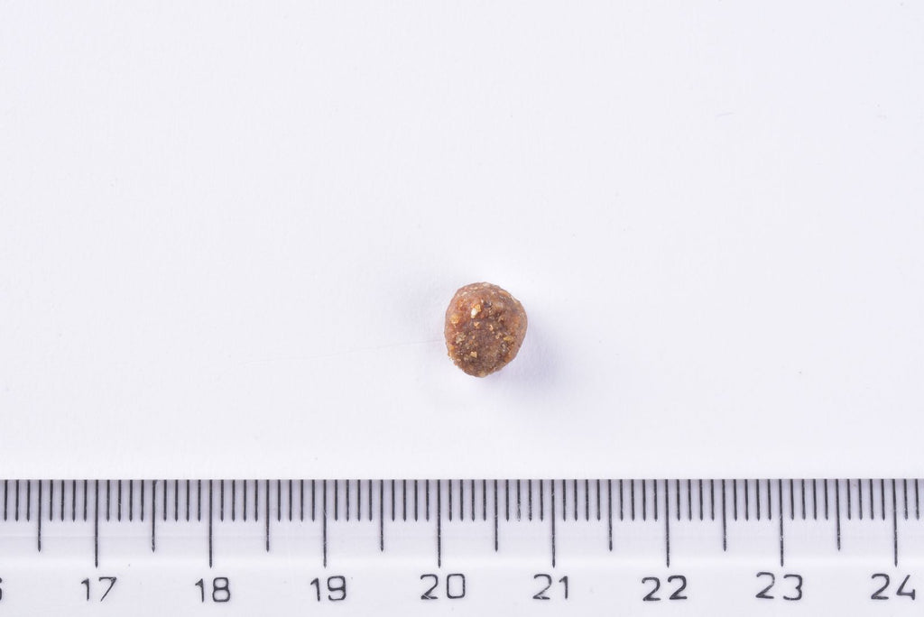 Brit Premium Dog Junior Small Dry Food Single kibble next to a ruler on a white background