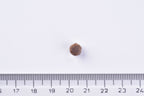 Brit Premium Dry Kitten Food single kibble  next to a ruler on a white background