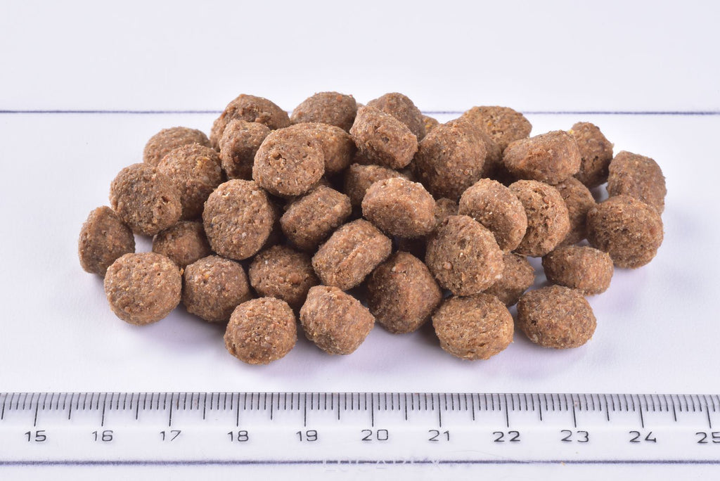 Brit Junior Mediumdry food kibble on a white surface with a ruler for scale.