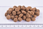 Brit Junior Mediumdry food kibble on a white surface with a ruler for scale.