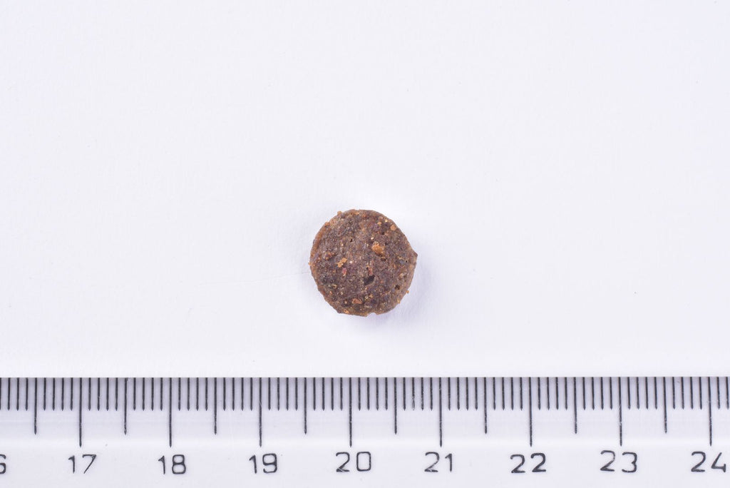 Brit Premium Sterilised Adult Cat Dry Food - Chicken single kibble  next to a ruler on a white background