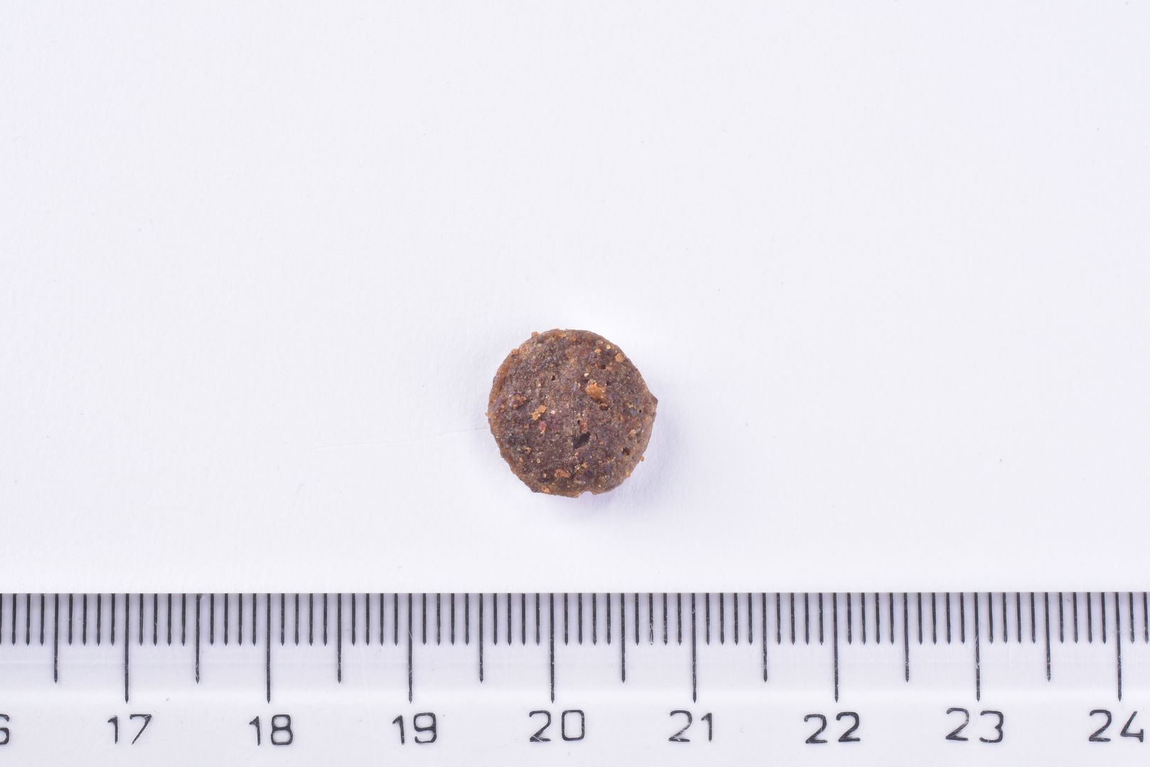 Brit Premium Sterilised Adult Cat Dry Food - Chicken single kibble  next to a ruler on a white background