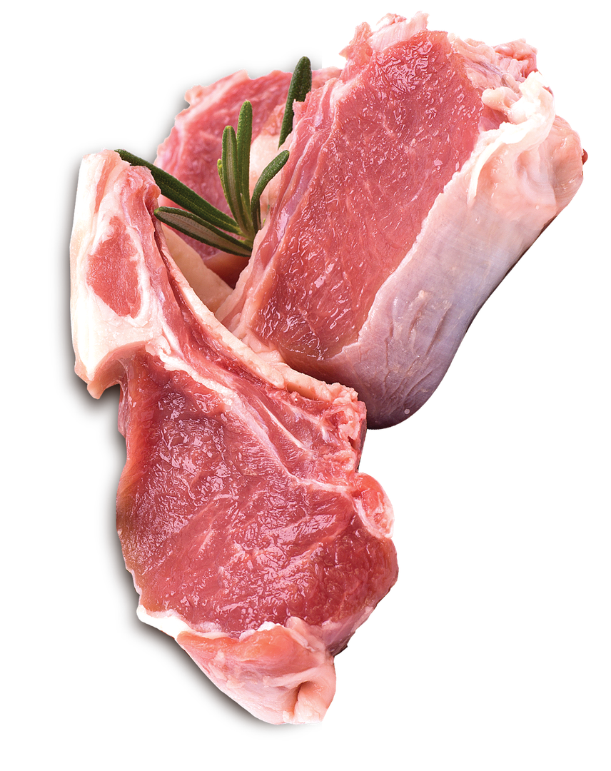 Brit Premium Dog Adult Dry Food Sensitive Lamb
