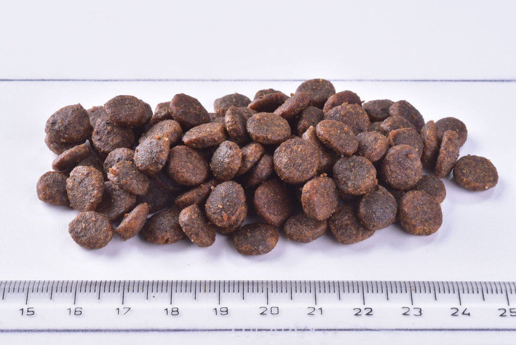 rit Premium Adult Cat Dry Food Chicken kibbles on a white surface with a ruler for scale.