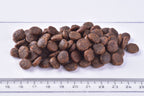 rit Premium Adult Cat Dry Food Chicken kibbles on a white surface with a ruler for scale.