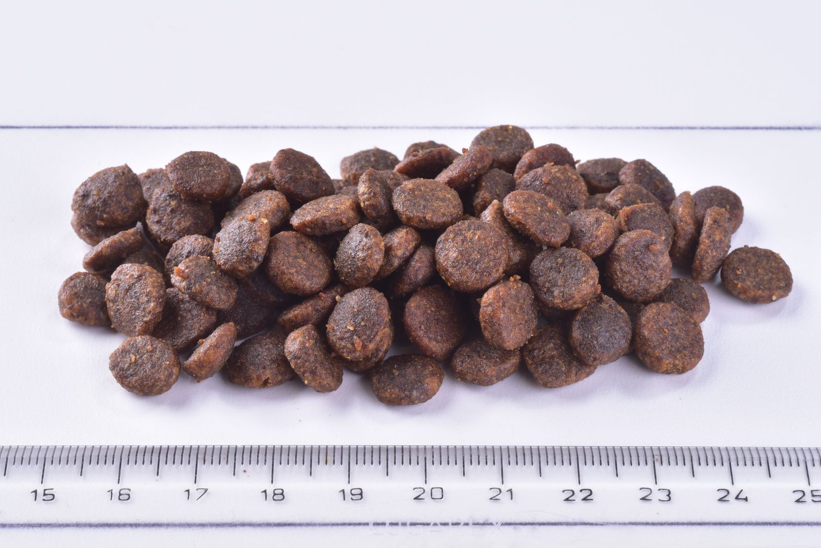 rit Premium Adult Cat Dry Food Chicken kibbles on a white surface with a ruler for scale.