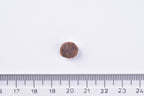 rit Premium Adult Cat Dry Food Chicken single kibble next to a ruler on a white background